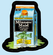 'Minnow Maid'